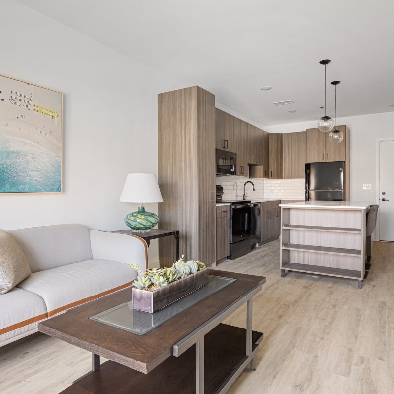 Spacious open-concept apartment layout featuring living room, kitchen island, and modern finishes at Station 250 floor plans Mundelein IL