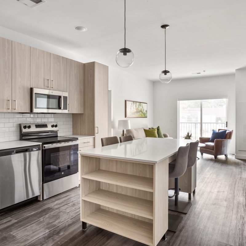 Open-concept apartment interior featuring light wood kitchen cabinetry, kitchen island with breakfast bar, stainless steel appliances, white backsplash, and dark hardwood floors at Station 250 Mundelein IL