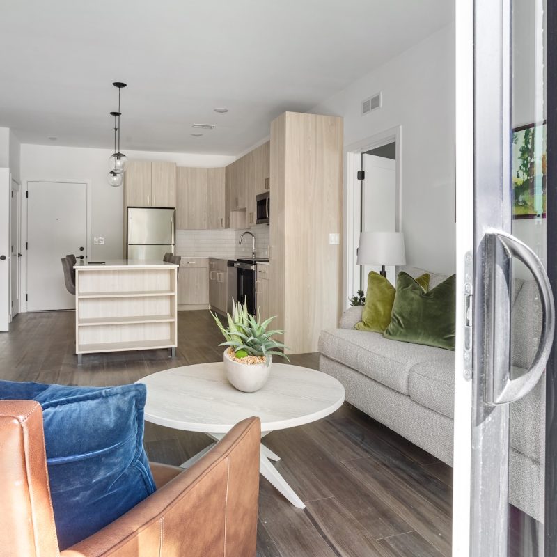 Station 250 apartment interior showing open-concept living area with blue sectional sofa, light wood kitchen, and modern bathroom with white fixtures Mundelein IL"