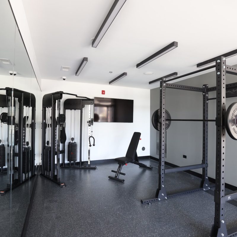 Station 250 modern fitness center with cardio equipment, large windows, and professional gym flooring Mundelein IL