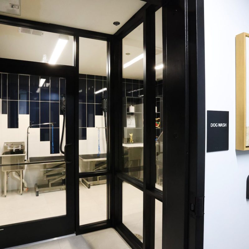 Station 250 glass-walled office space with modern desk, chairs, and professional lighting Mundelein IL